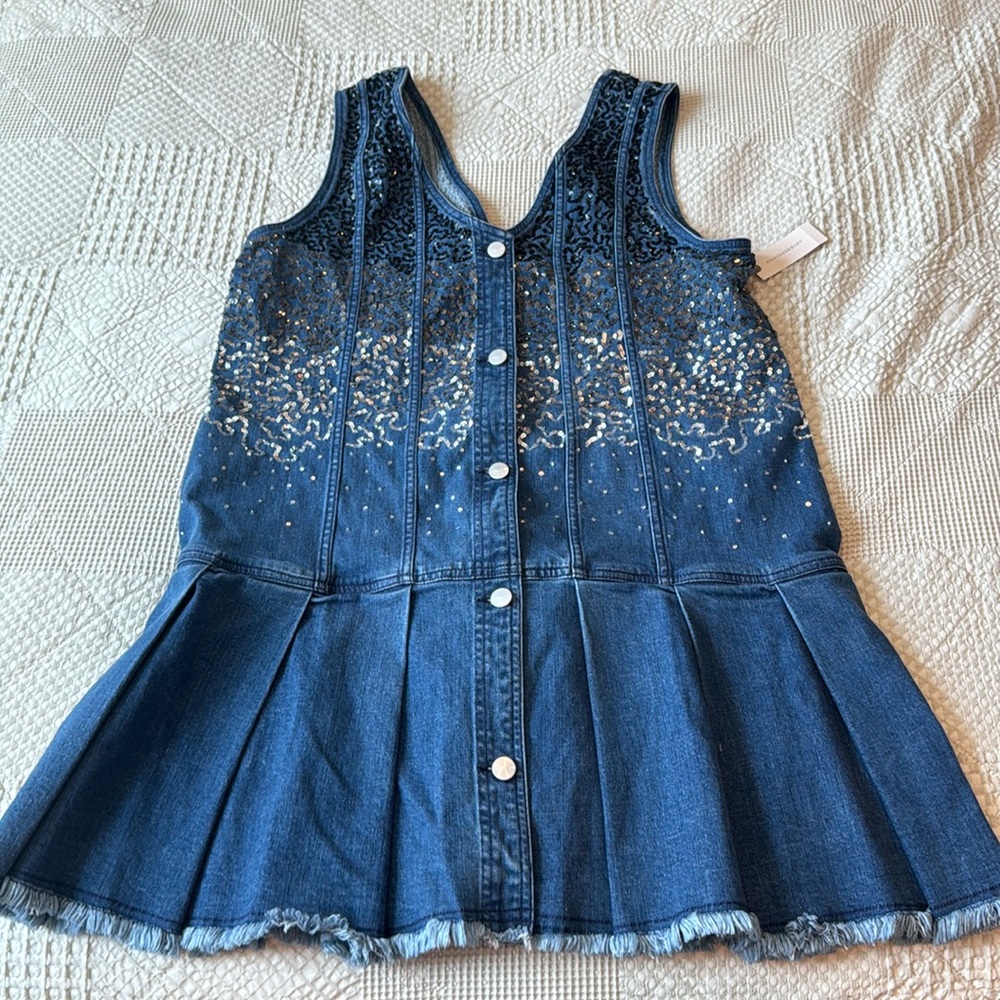 NWT Anthropologie Denim Dress